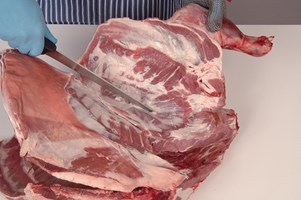 Meat Cut Spec Step 3